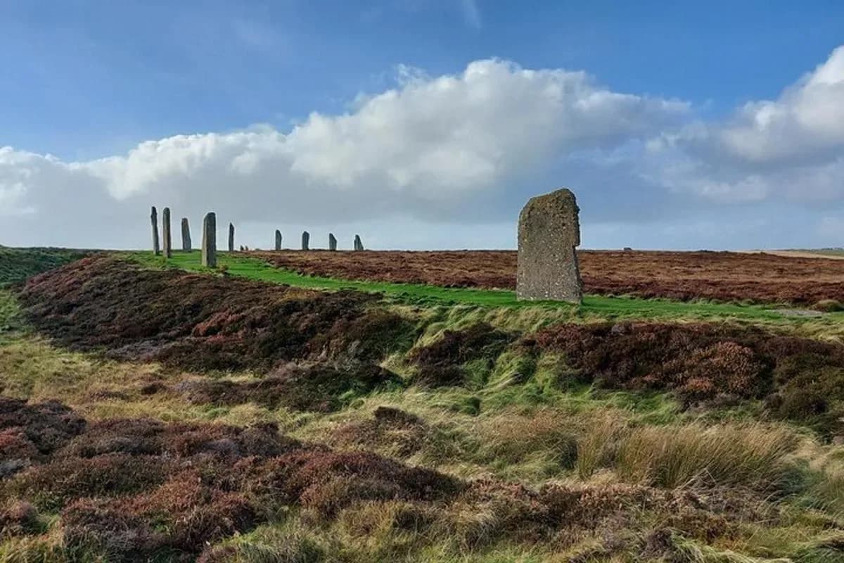 a field with a group of trees and a monument