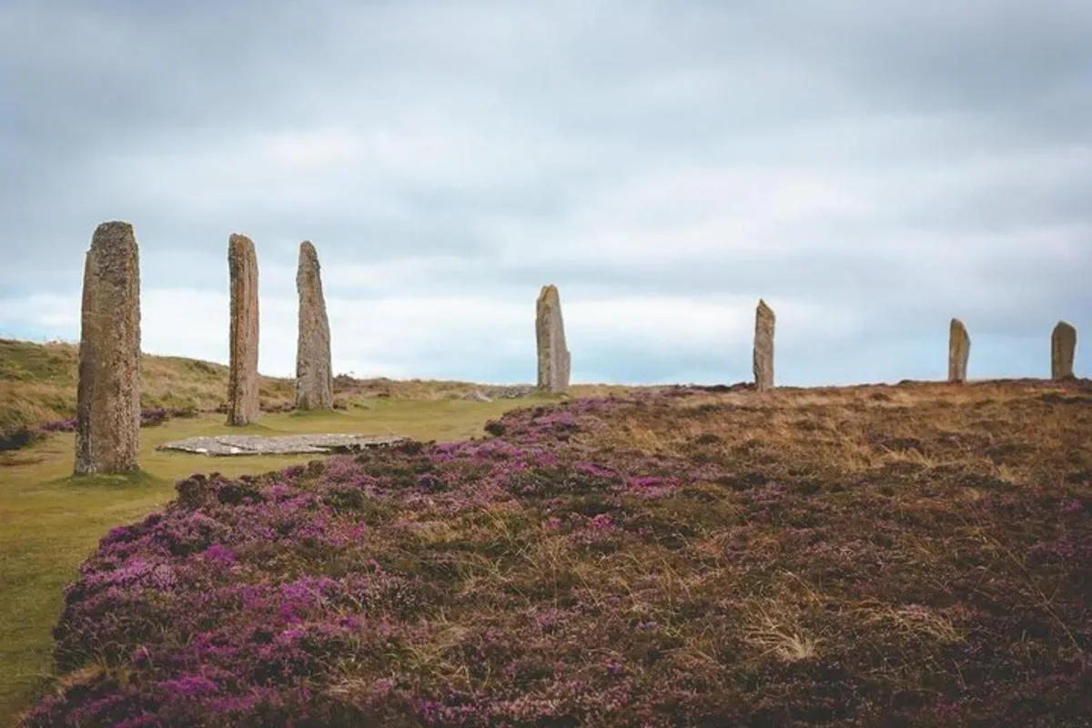a group of stone structures on a hill with purple flowers