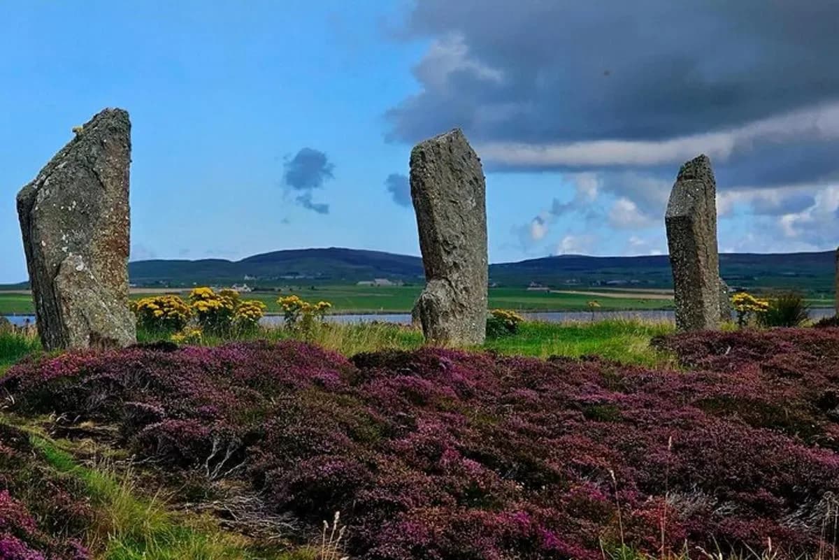 Scapa Tours