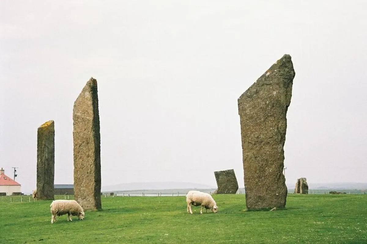 a group of sheep grazing in a field with stone monuments
