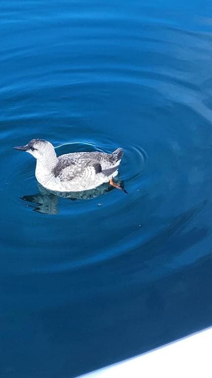 Glenduron-by-Sea - Photo 3