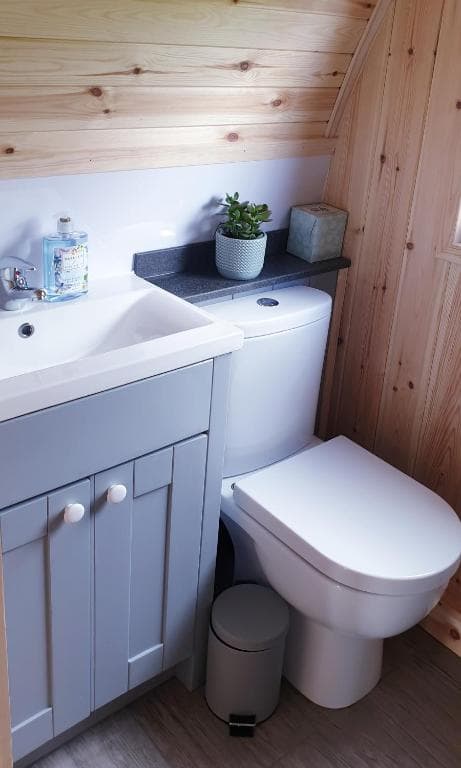 Lilly's Lodges Orkney Hedgehog Lodge - Photo 2