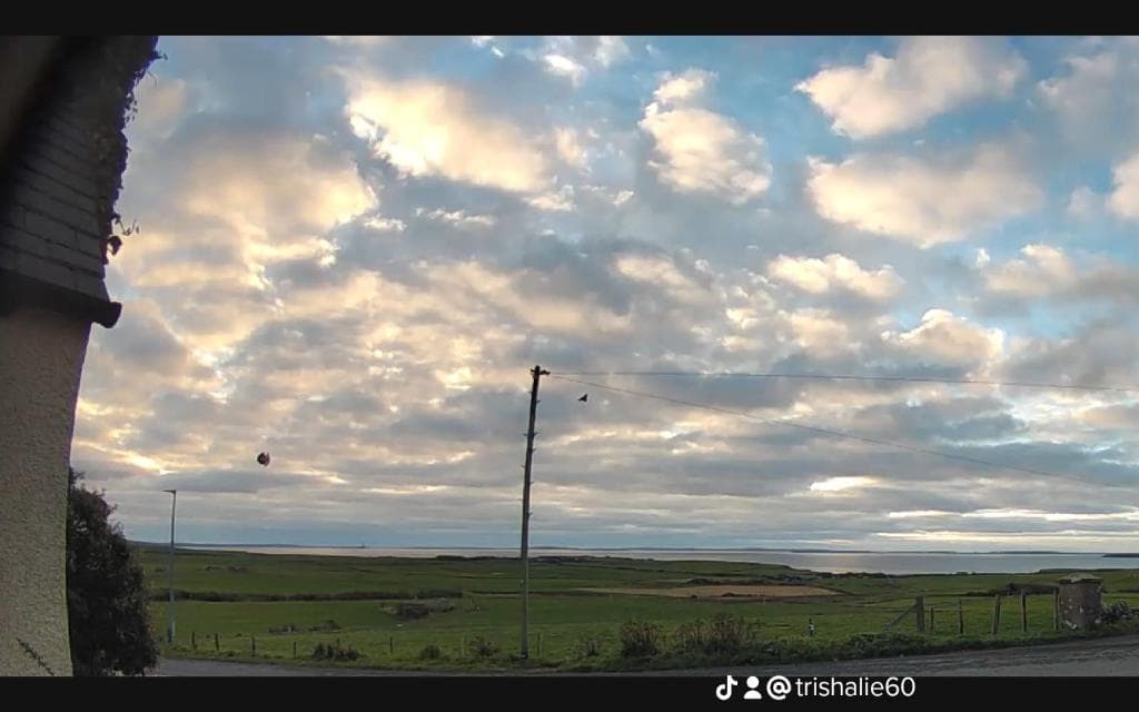 Scorrabrae, Orphir, Mainland Orkney, Scotland, United Kingdom - Photo 5