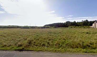 Conifere Plantation