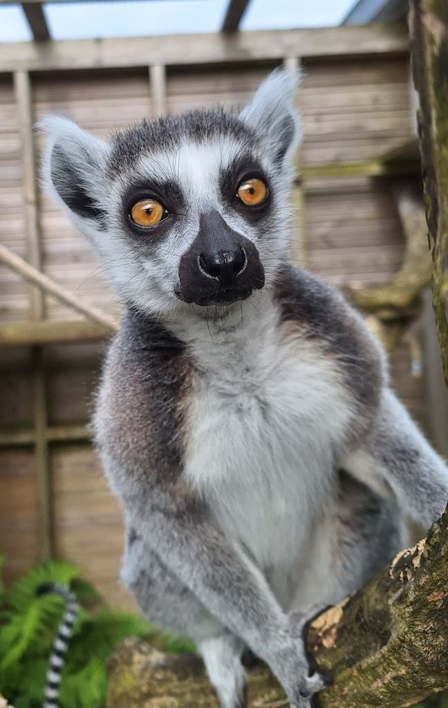 Fernvalley Wildlife Centre