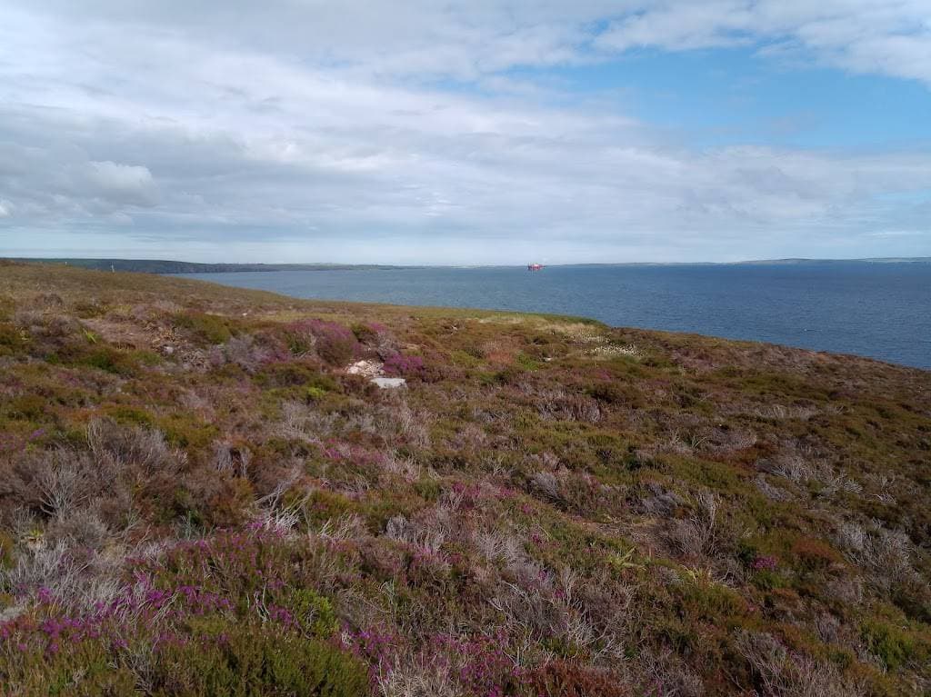 RSPB Hobbister