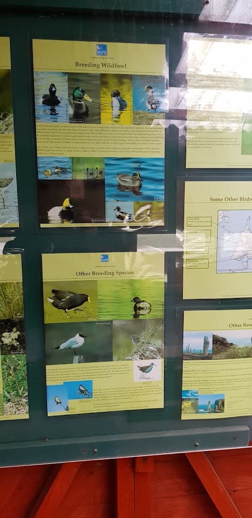 RSPB Mill Dam, Shapinsay