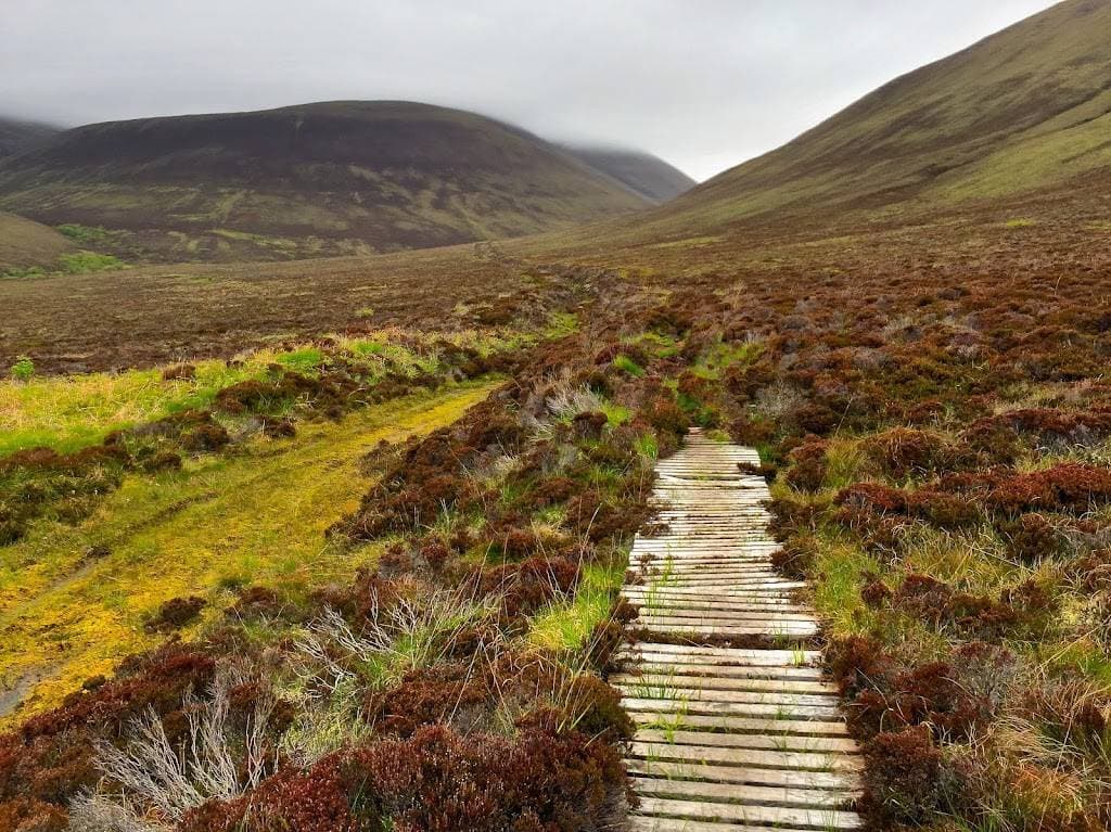 RSPB Scotland Hoy nature reserve