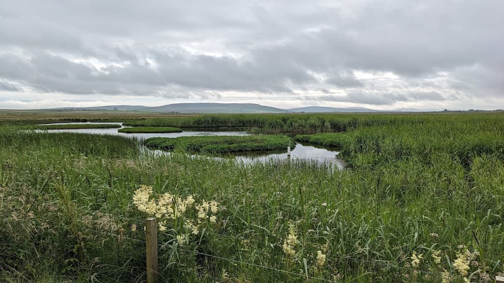 RSPB Scotland The Loons Nature Reserve