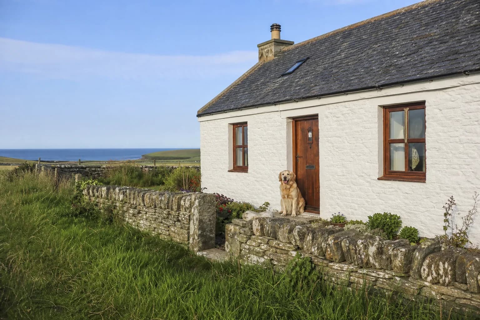 Dog-Friendly Self-Catering in Orkney