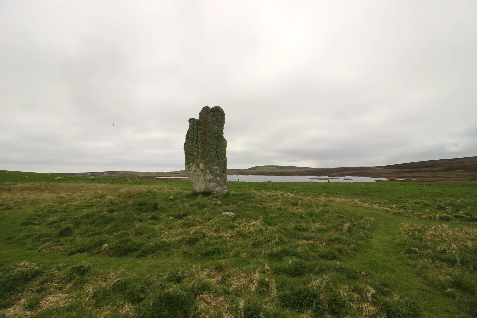 Eday: Stone of Setter, Neolithic Tombs & Birdlife