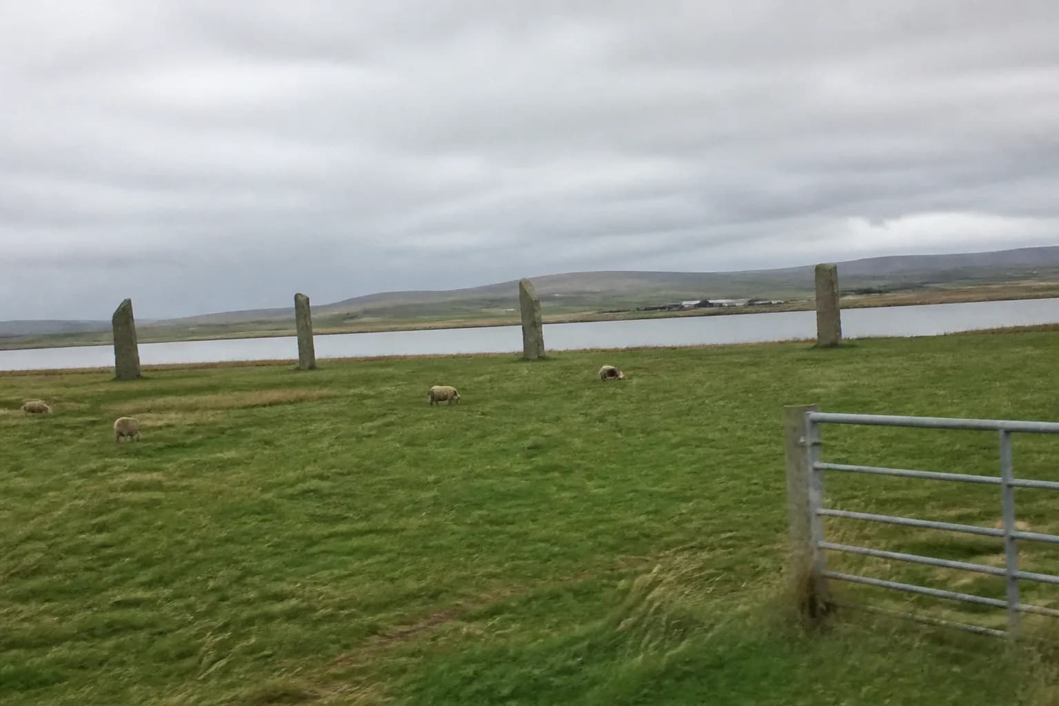 Orkney vs Shetland 2026: An Honest Local's Comparison