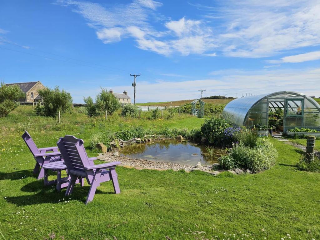 Old School - Exclusive 5 Room private suite, Burray, Orkney (photo 9)