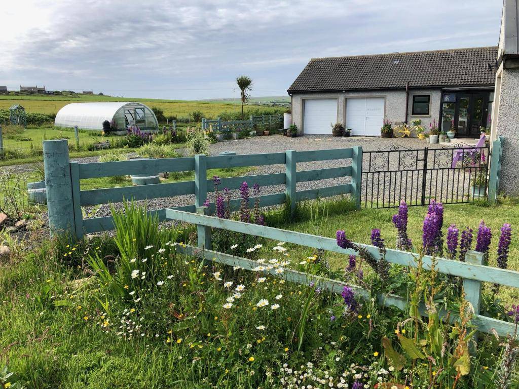 Old School - Exclusive 5 Room private suite, Burray, Orkney (photo 8)